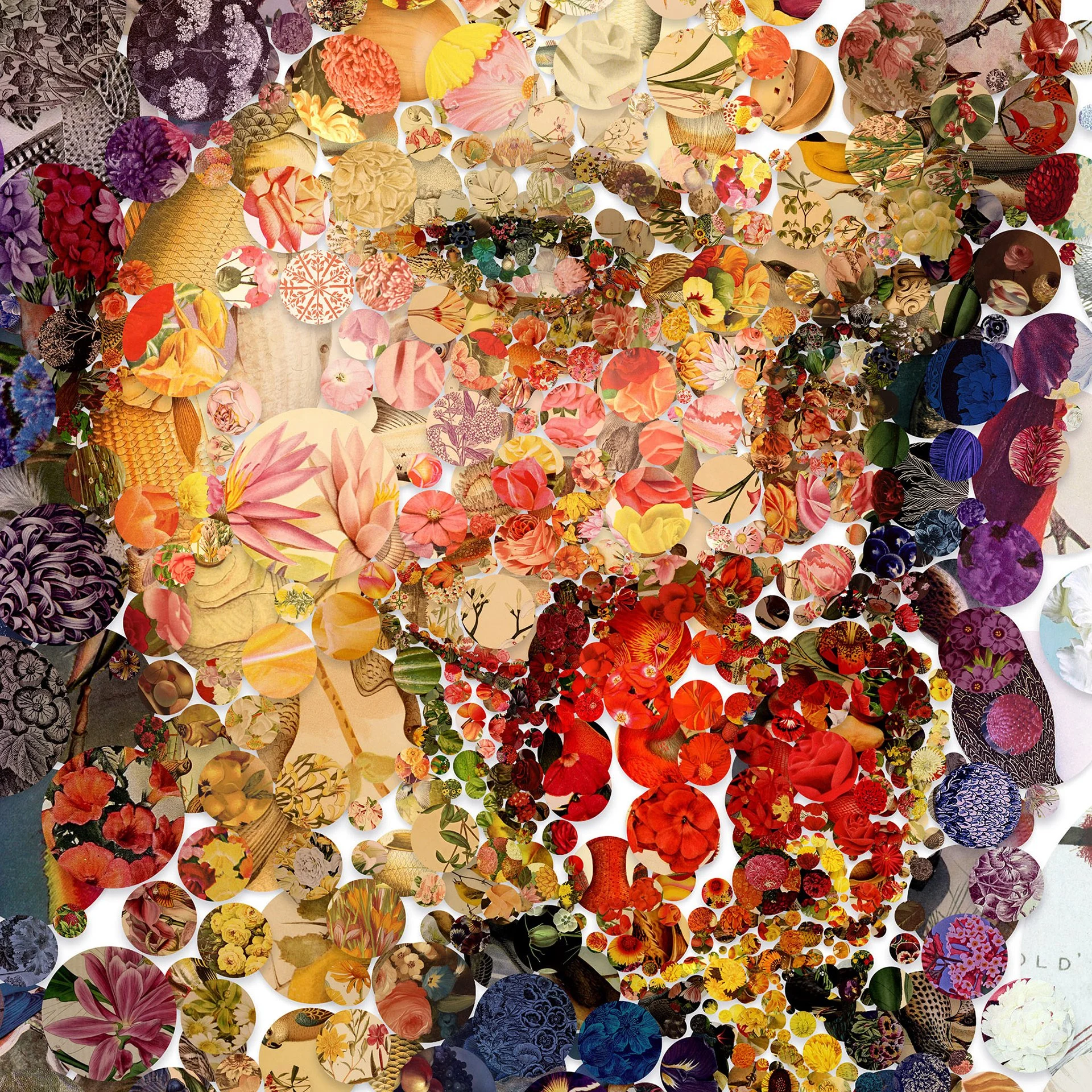 Charis Tsevis_Two roses (12).jpg
