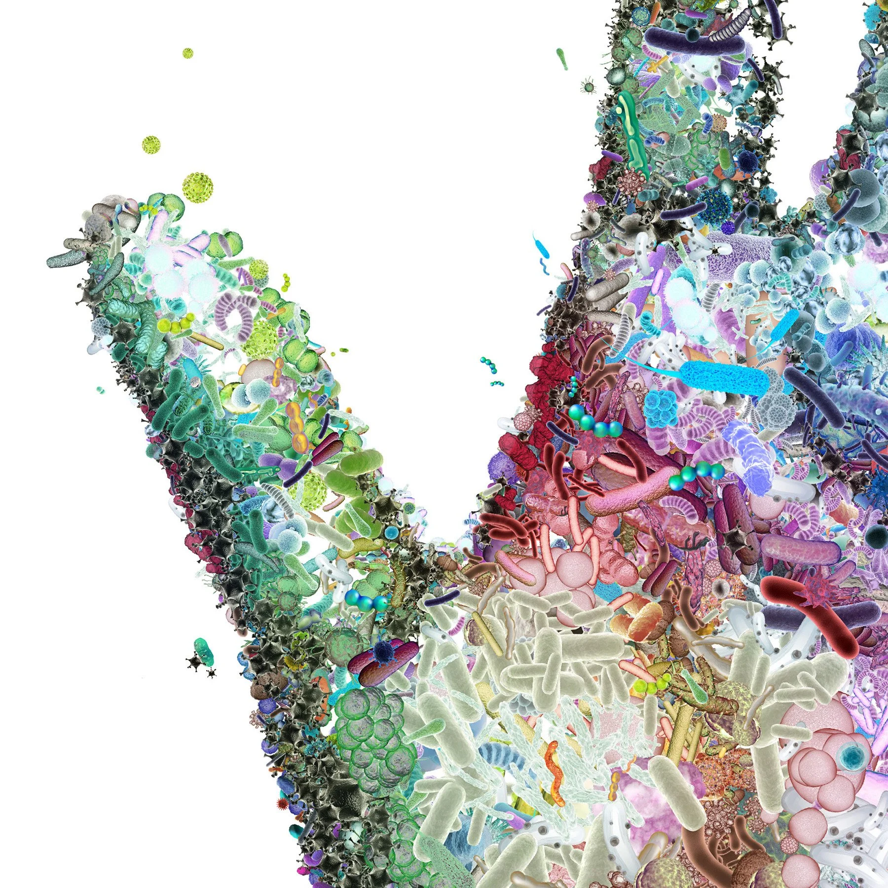 Charis Tsevis_Editorial Illustrations 12-13 (61).jpg