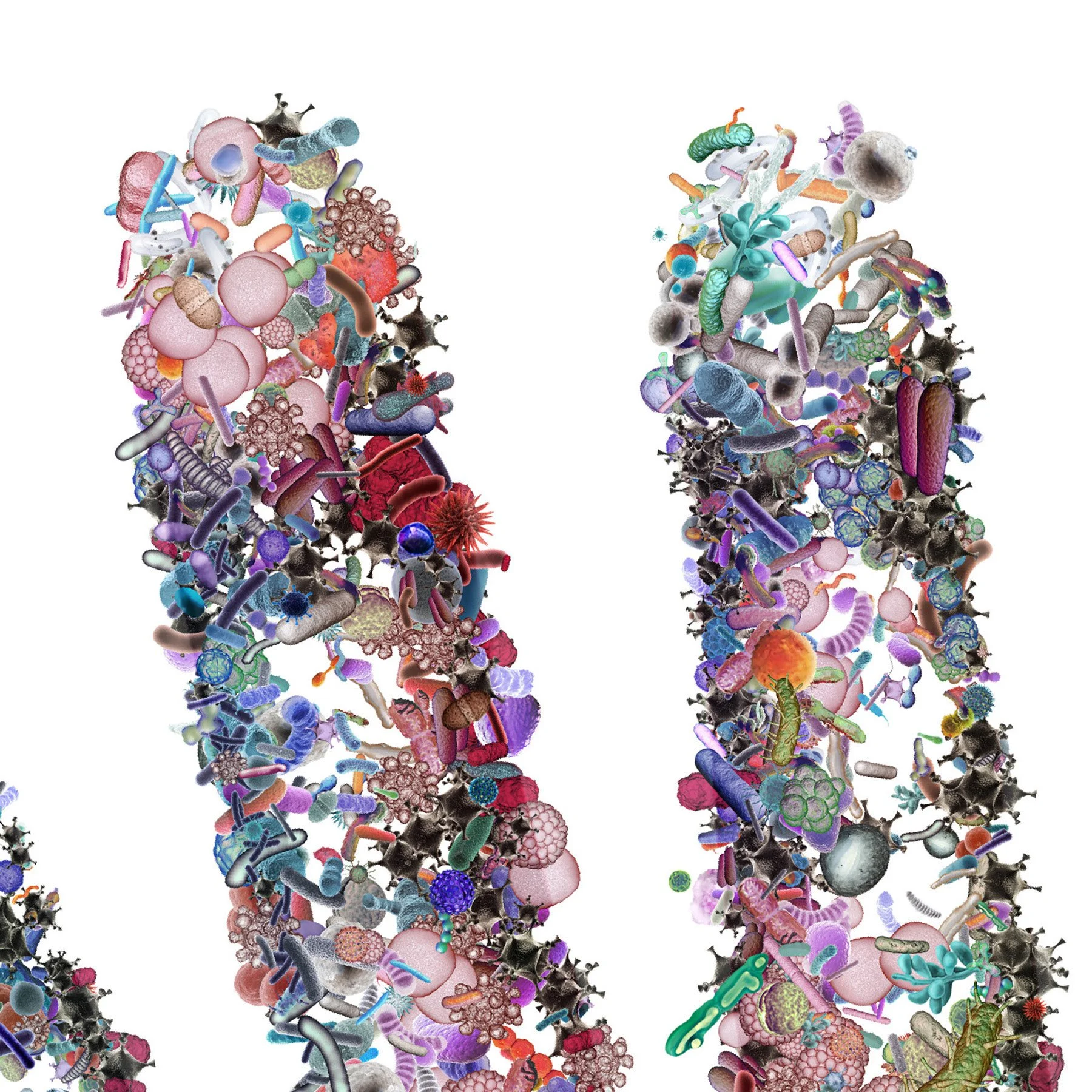 Charis Tsevis_Editorial Illustrations 12-13 (65).jpg