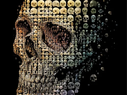 Human Skull Evolution Mosaic, Discover Cover