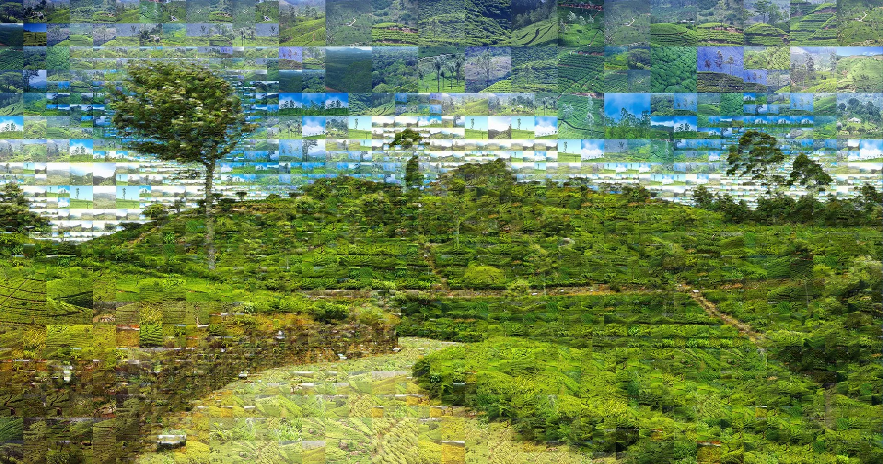   Nuwara Eliya, Sri Lanka, mosaic illustration  