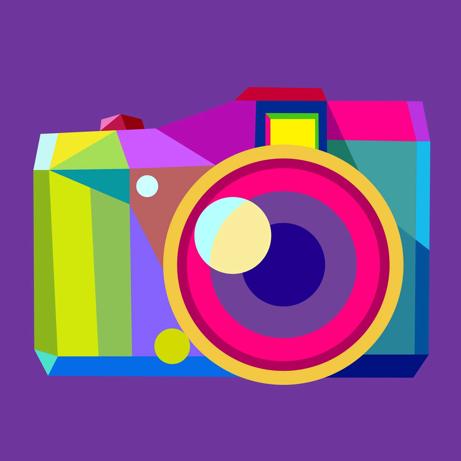   A compact SLR camera from Nikon  