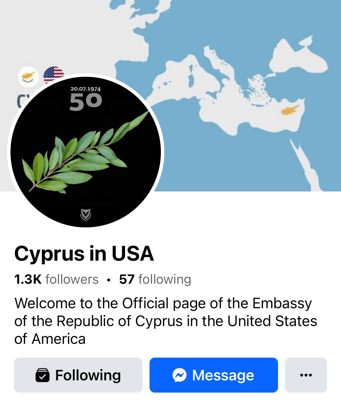 tsevis-cyprus-embassy-usa-profile-olive-branch.PNG