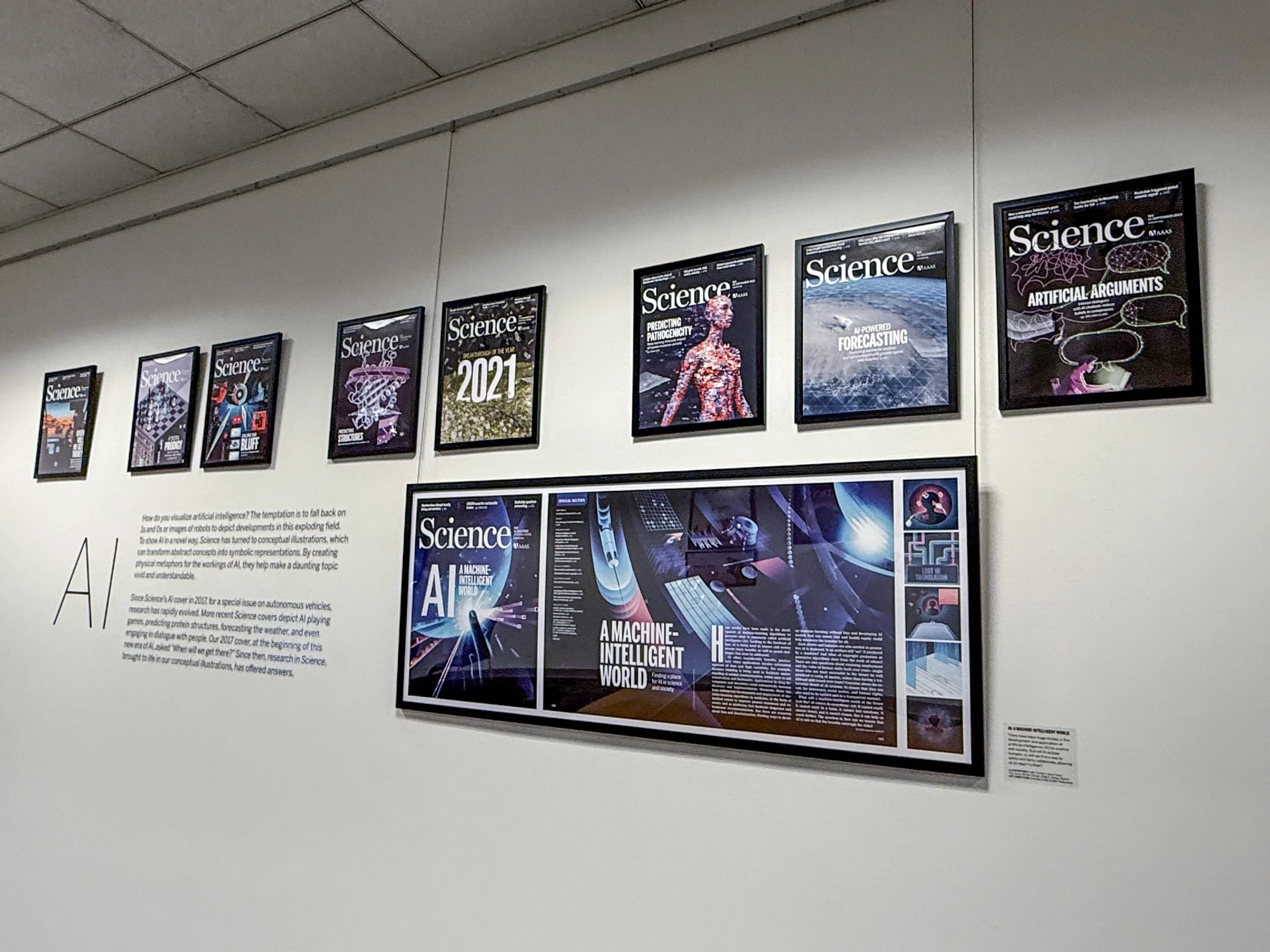 Where Science Meets Art
