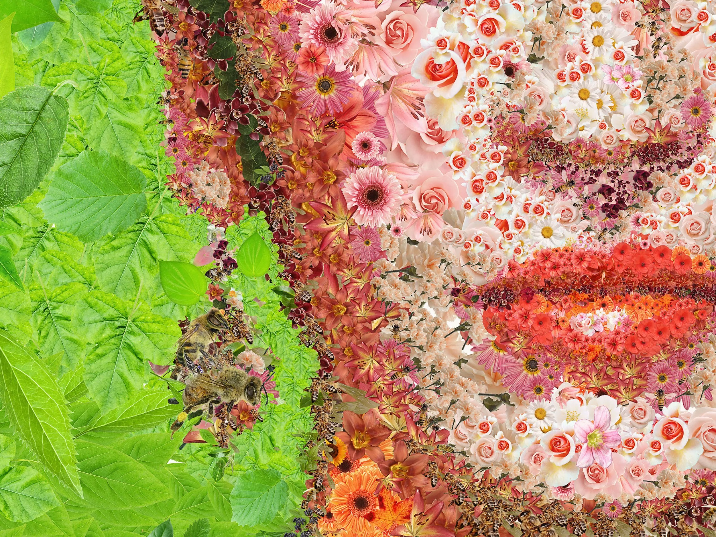 Charis Tsevis Limited Edition_Frida (1).jpg