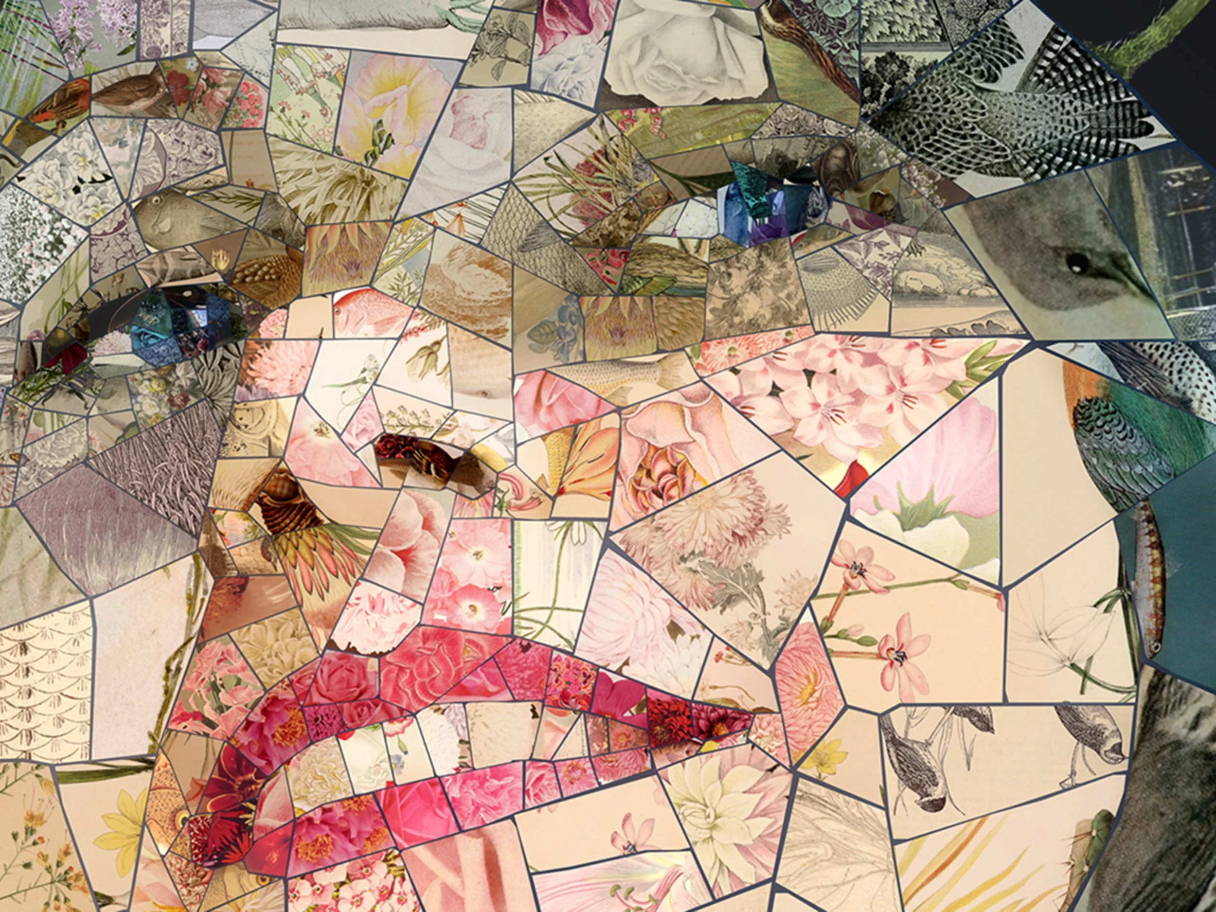 Charis Tsevis Limited Edition Aphrodites_Like my hat- (1).jpg