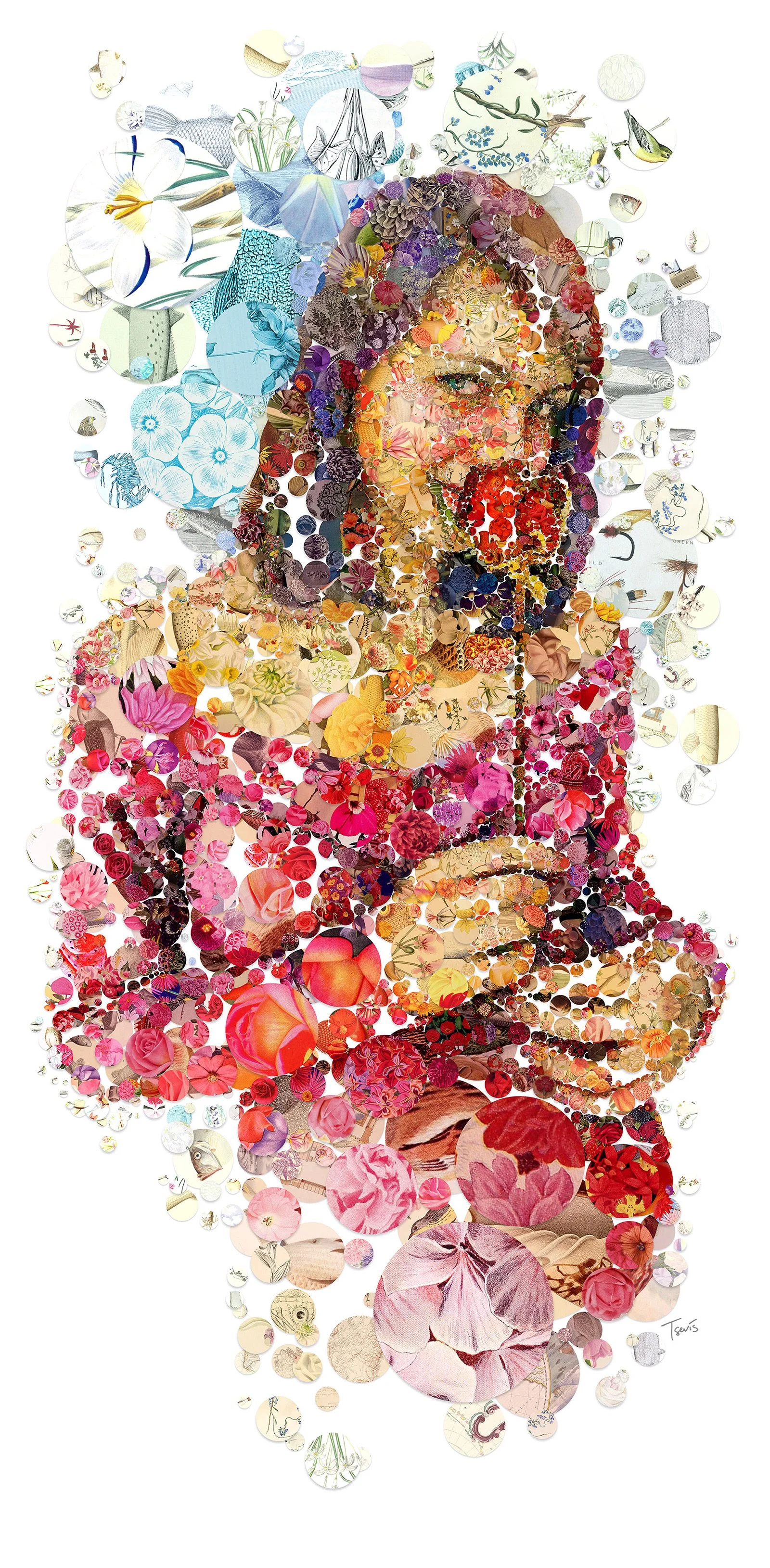 tsevis-botanical-portrait-tsars-vibrant-circular-cutouts.jpg