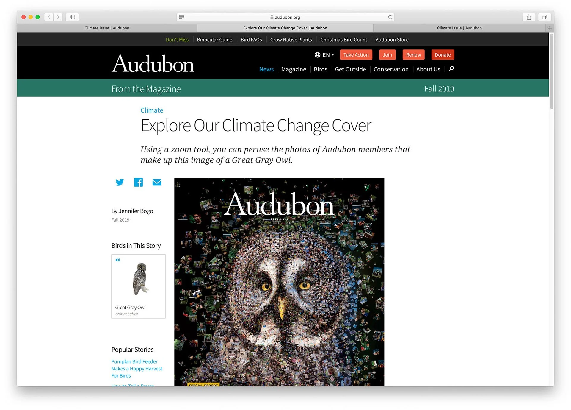 Special issue cover artwork of Audubon magazine
