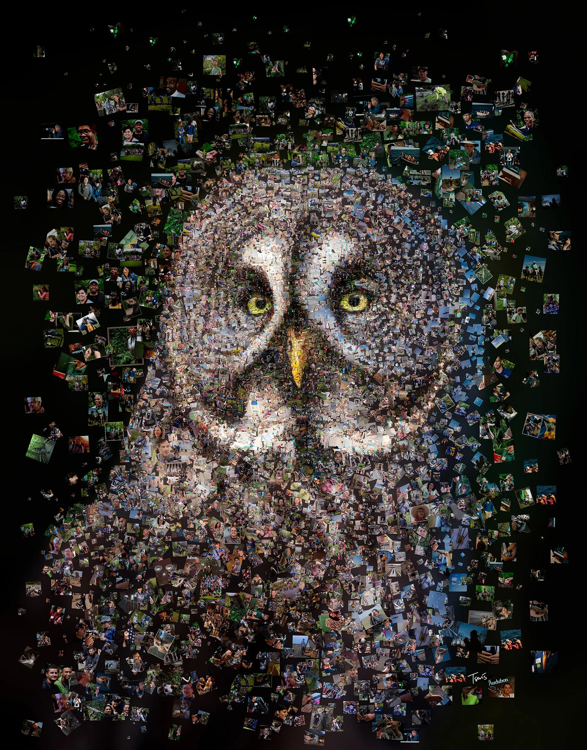 Owl photomosaic editorial illustration for cover design