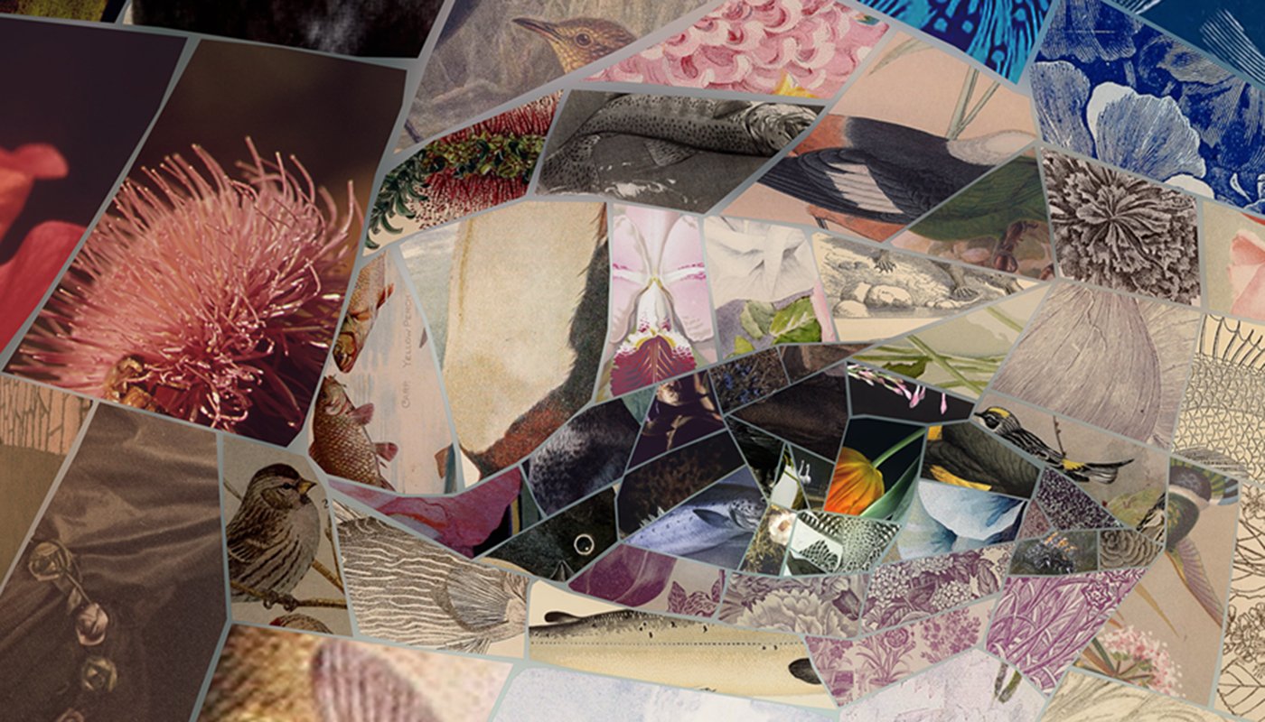 Charis Tsevis Limited Edition Aphrodites_Thinking of you (1).jpg