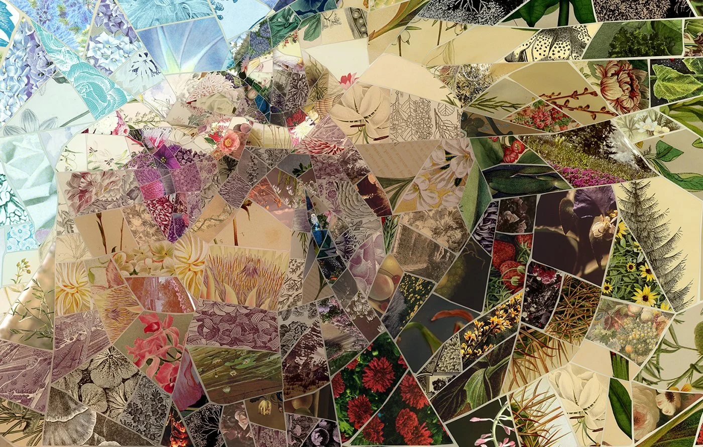 Charis Tsevis Limited Edition Aphrodites_On My Rock (1).jpg