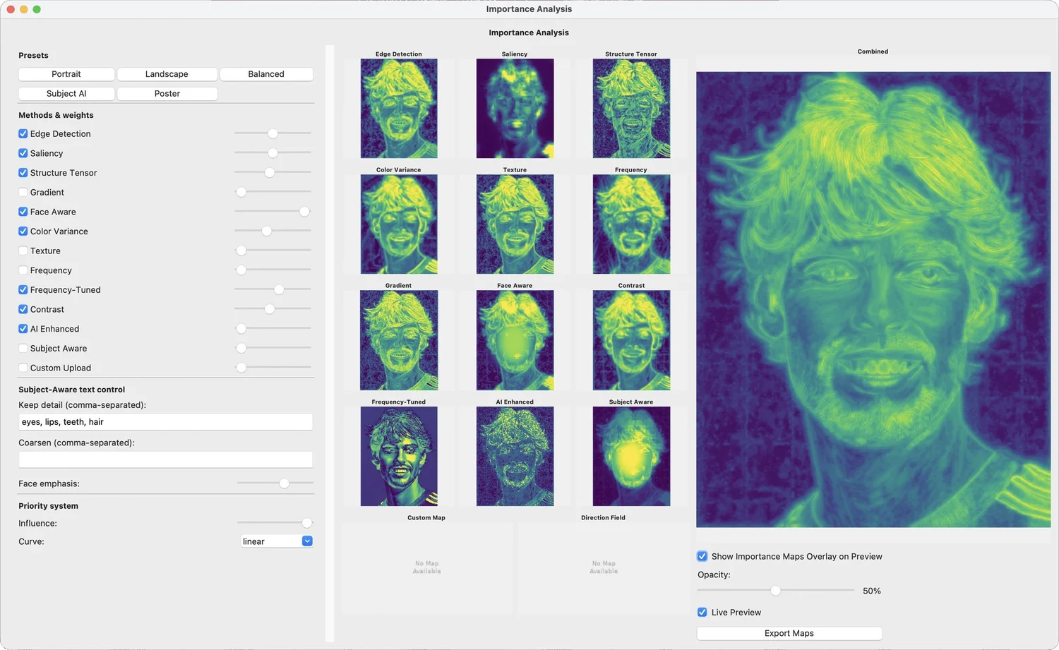Importance analysis window showing twelve colour-coded maps of a smiling man's portrait and a large combined map, with checkboxes and sliders for each method