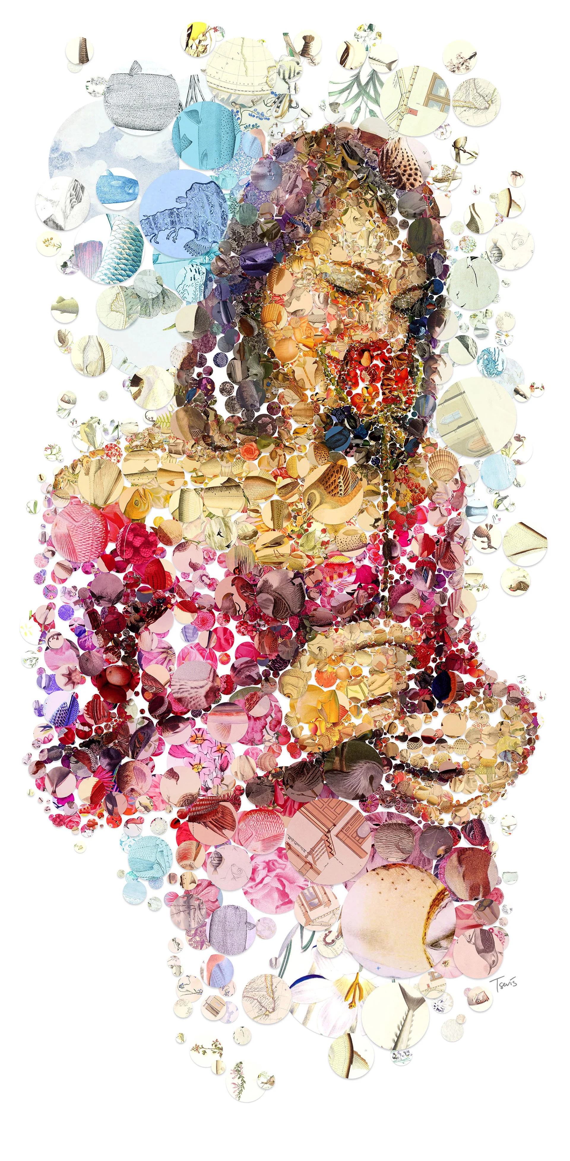 Two Roses mosaic side A – first face on 15mm plexiglass. Charis Tsevis. Look of love and beauty of nature.