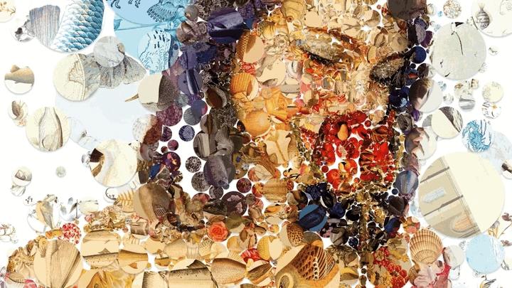 'Two Roses' digital mosaic artwork by Charis Tsevis composed of hundreds of natural images including shells and marine illustrations arranged to form a larger floral pattern - demonstrating custom algorithmic techniques that balance computational precision with artistic vision"