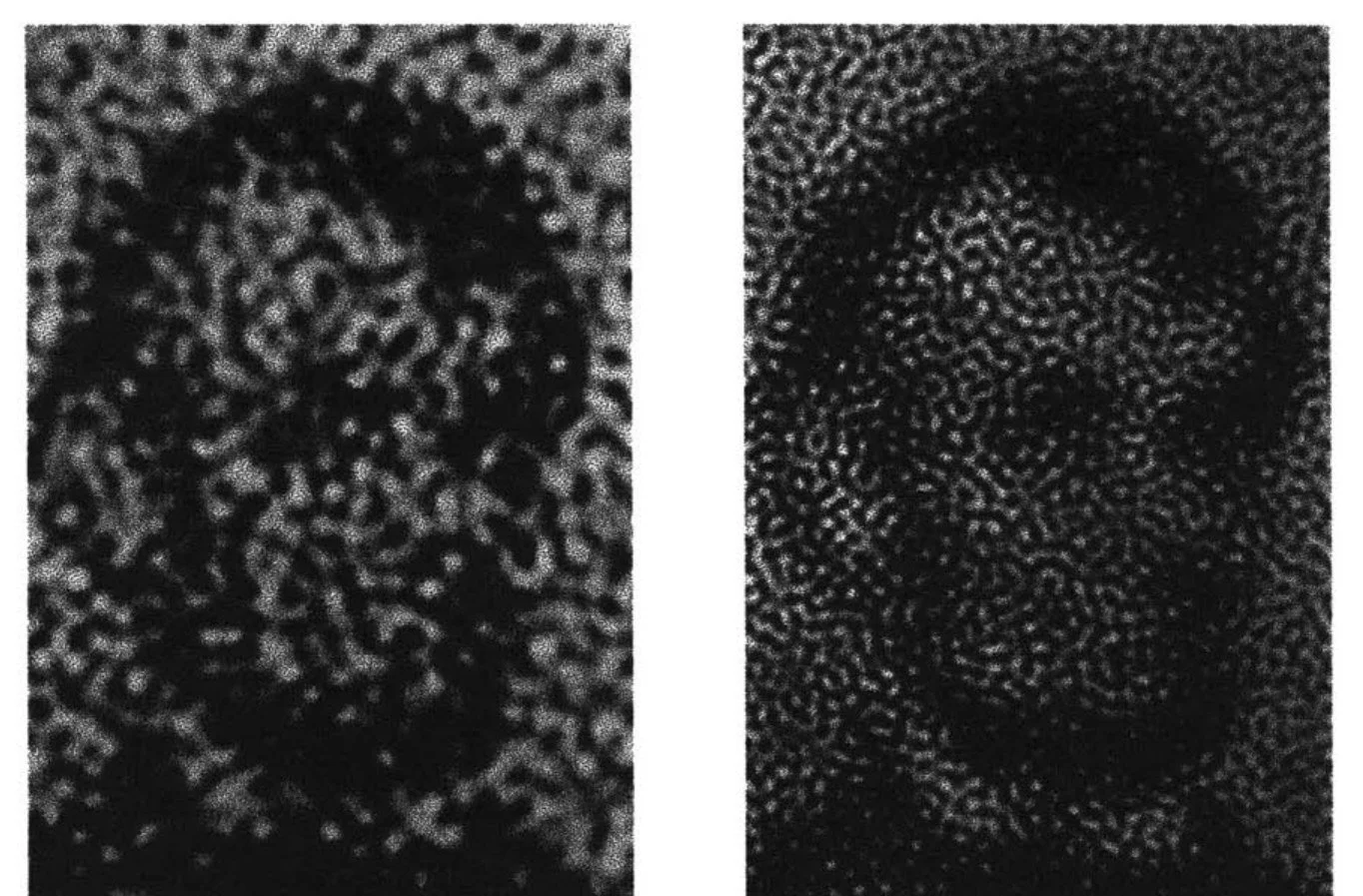 Two dark blurred faces covered with blotchy noise patterns of different sizes