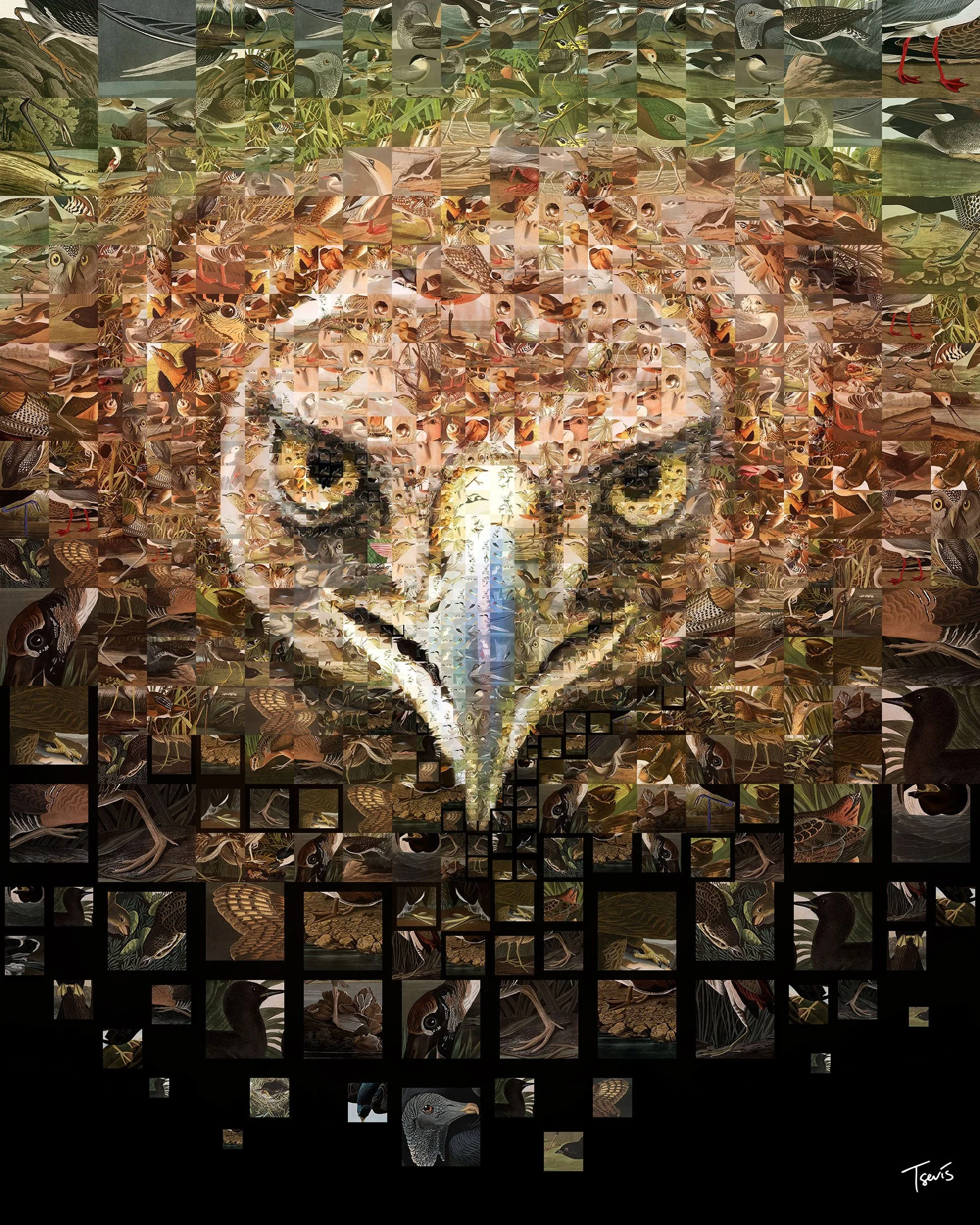 Audubon magazine:&nbsp;Save the Golden Eagle!