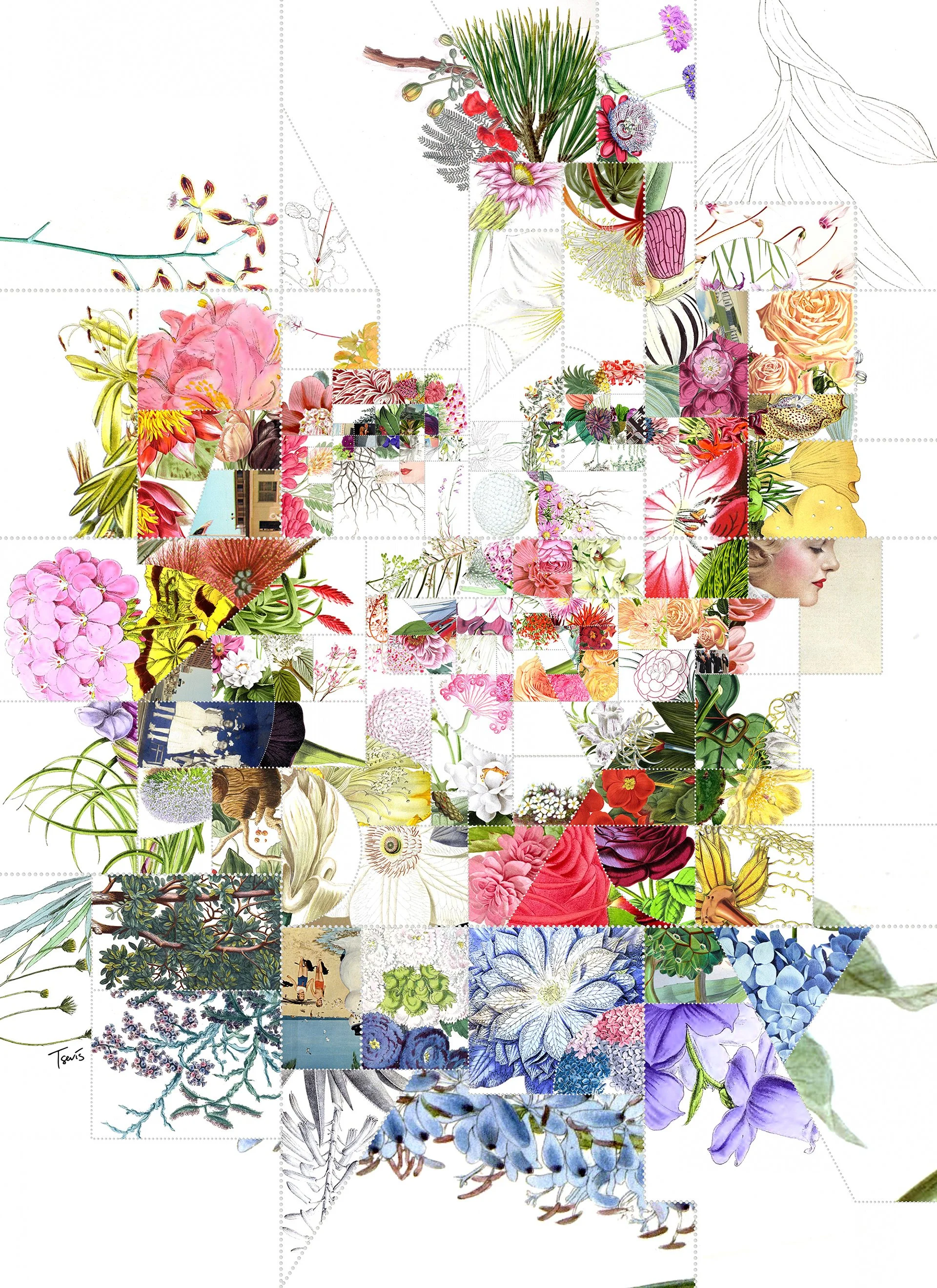Dr Jill Biden, An American Lady, digital portrait from flowers in a contemporary mosaic style