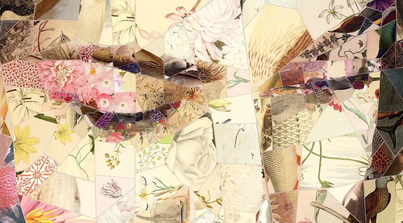 Charis Tsevis Limited Edition Aphrodites_Summer Ride (2).jpg