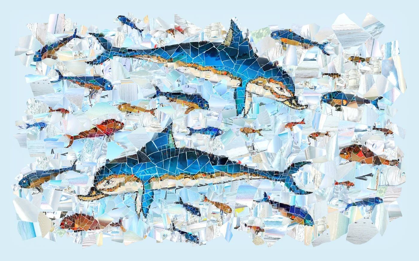 Healthy Dolphins - Healthy Seas