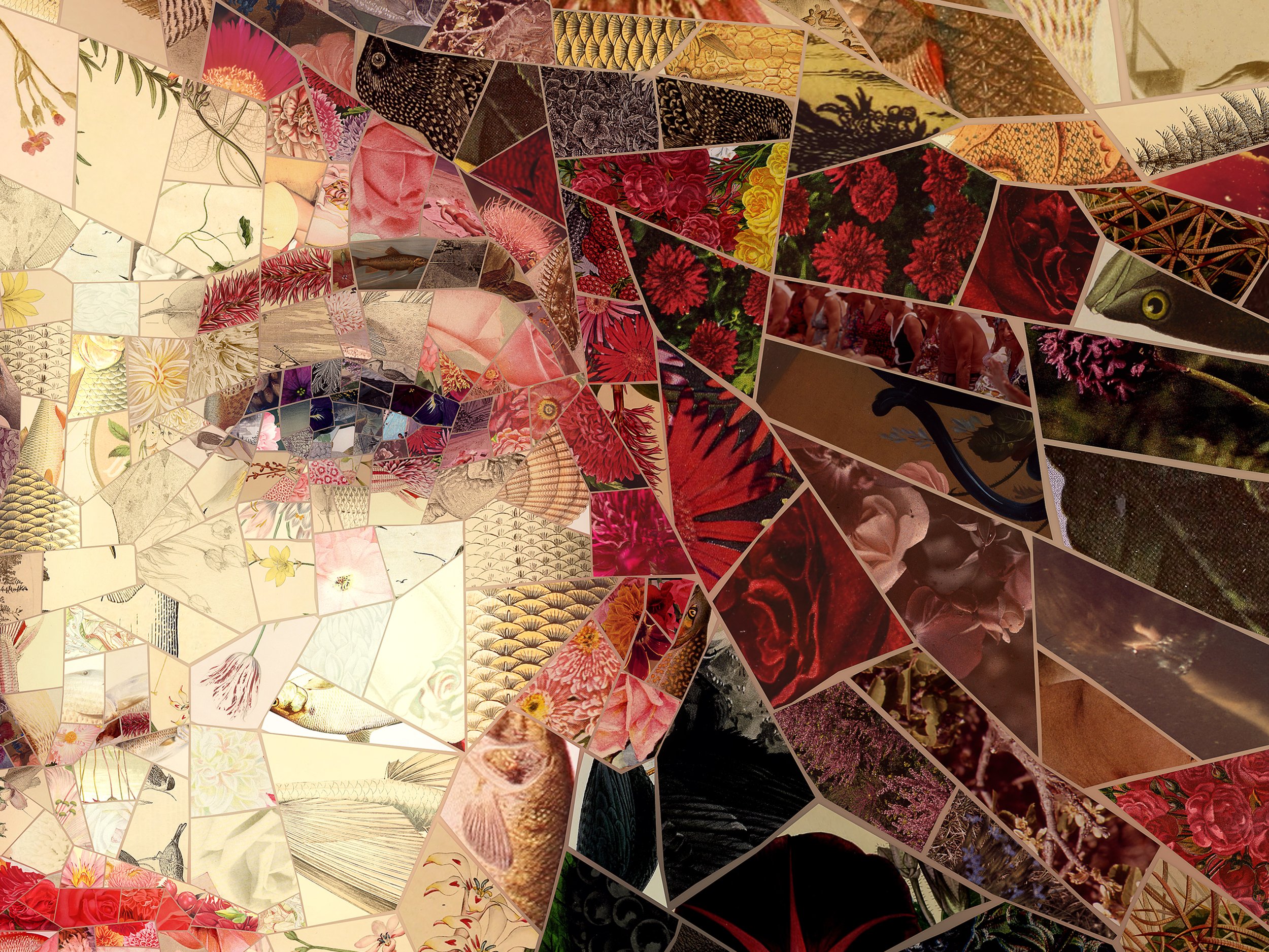 Charis Tsevis Limited Edition Aphrodites_Summer Breeze (1).jpg