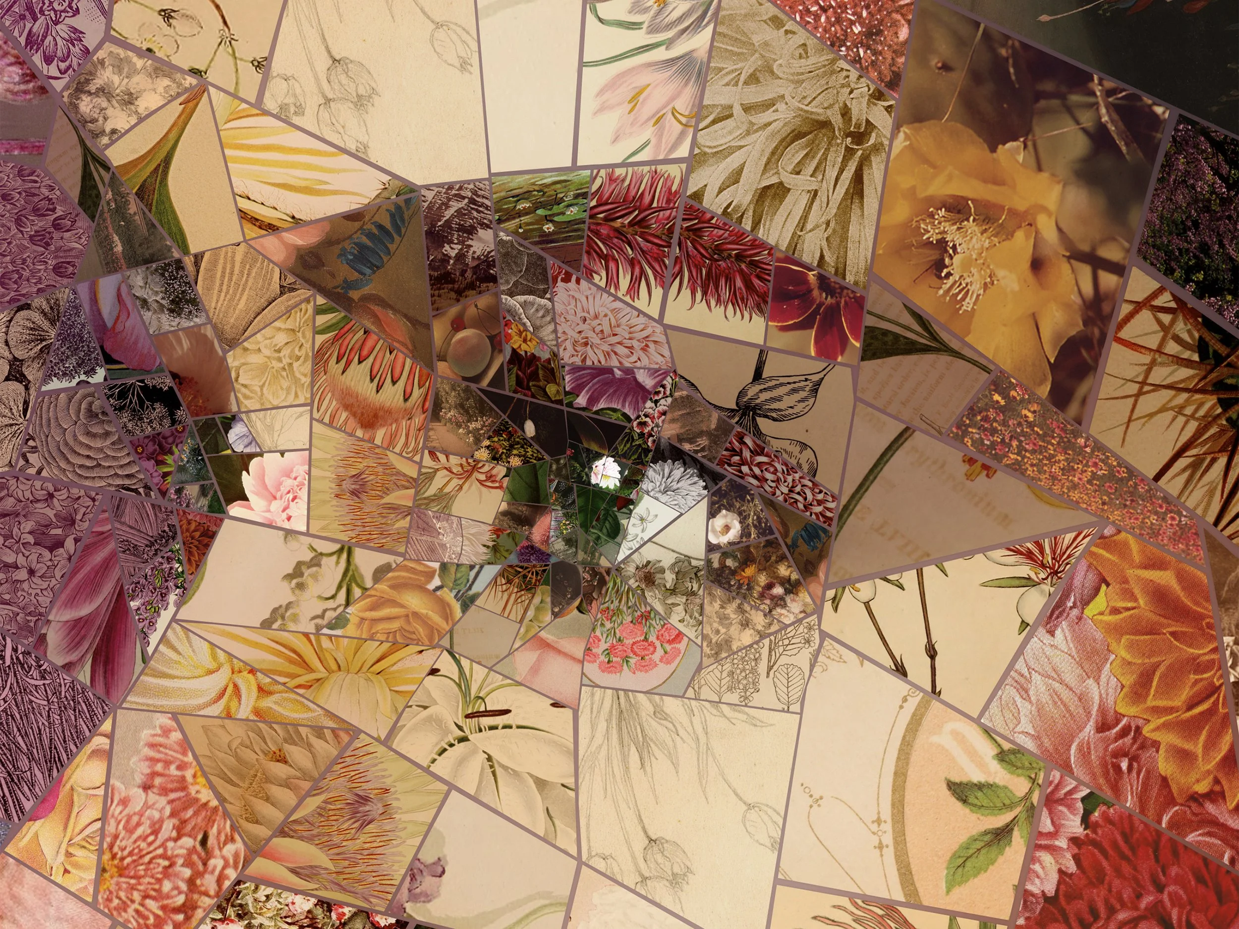 Charis Tsevis Limited Edition Aphrodites_Maratheftiko (4).jpg