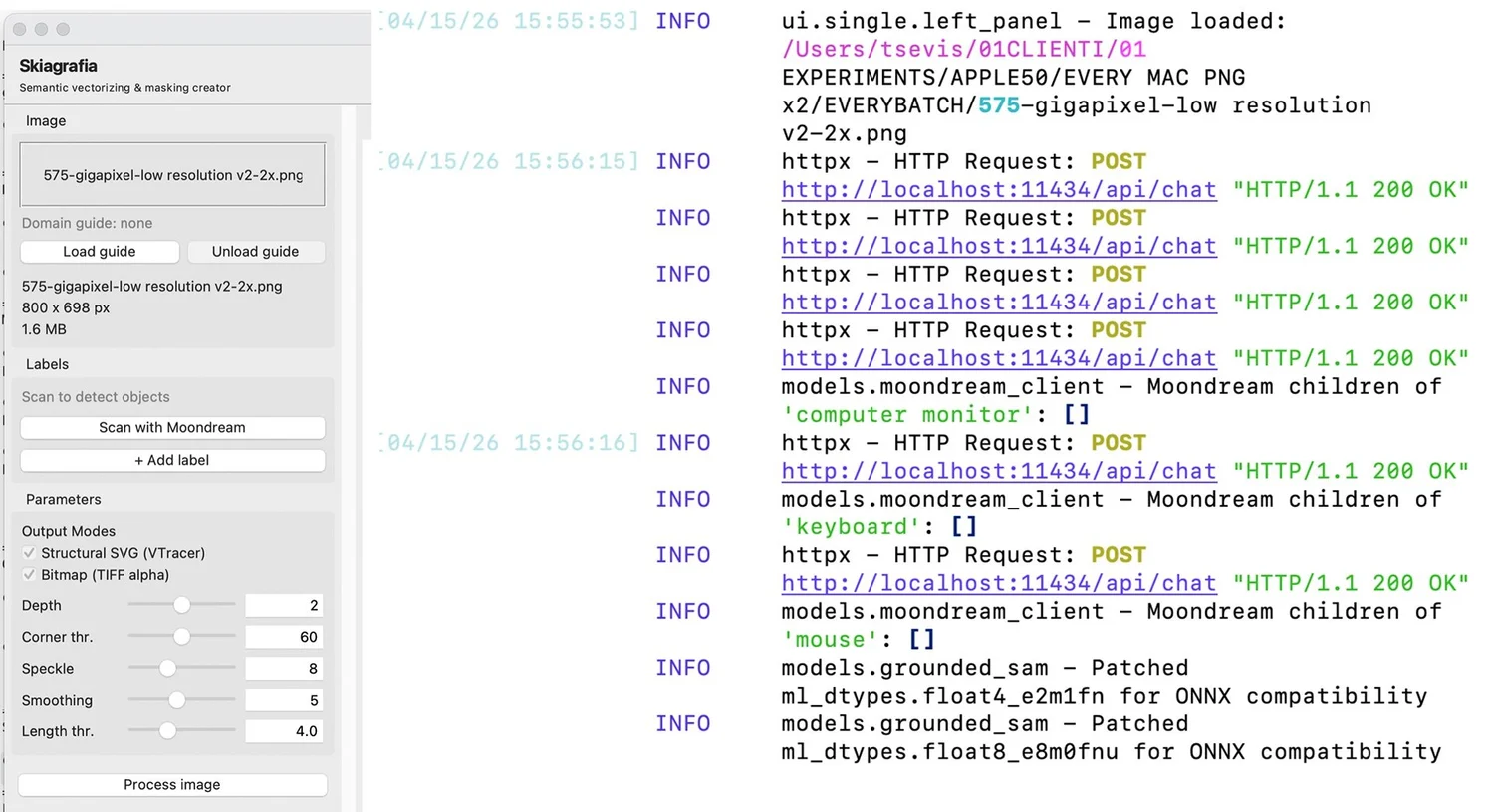 Skiagrafia in single-image mode beside the Ollama server log during image interrogation