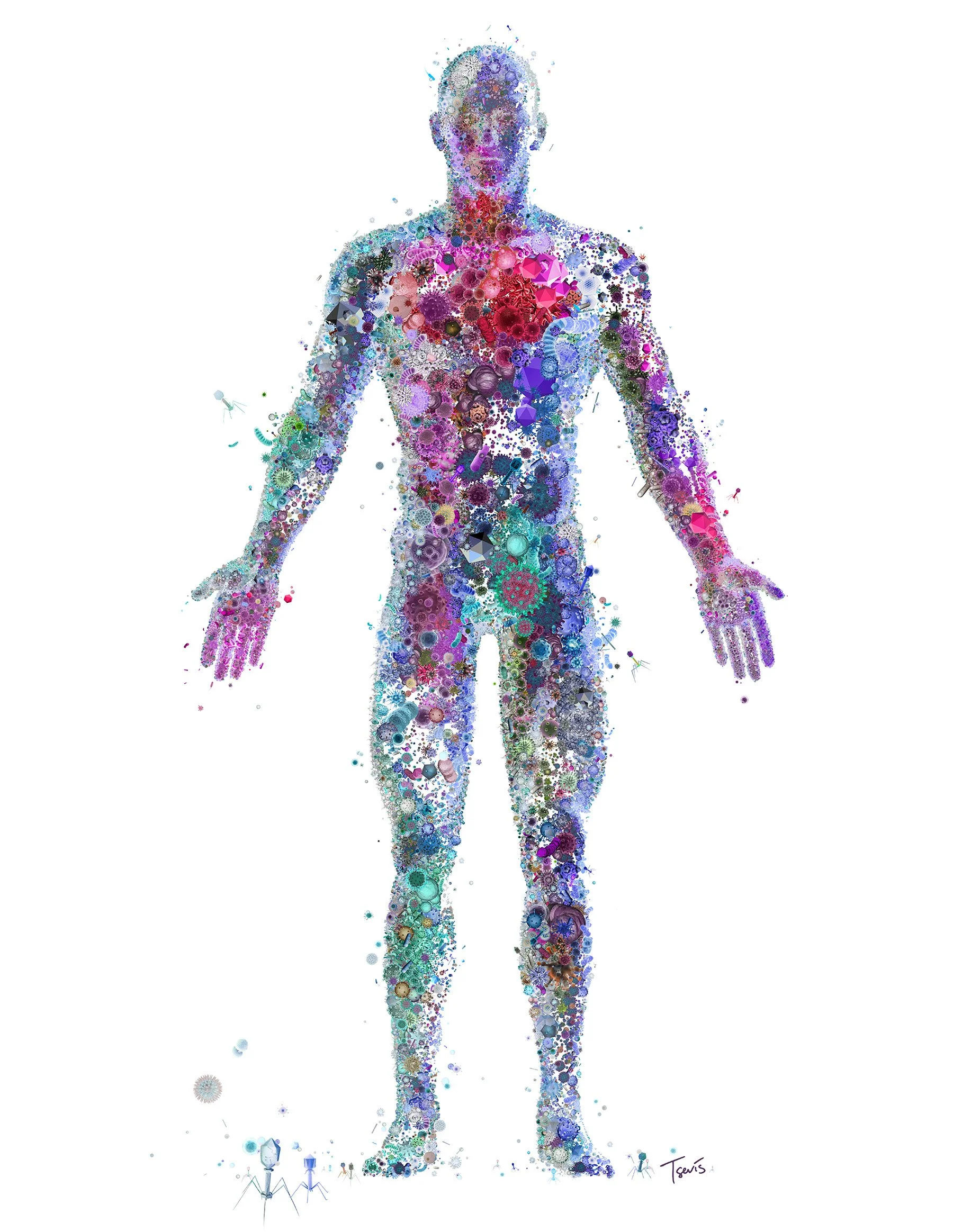 Viruses and bacteria as tiny tiles forming human body