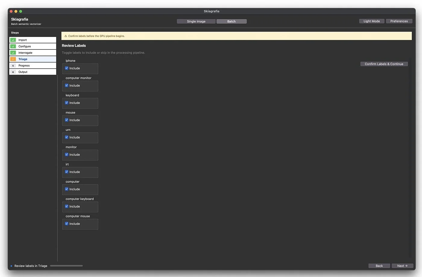 Skiagrafia in batch mode, dark theme, at the Triage step with a list of detected labels