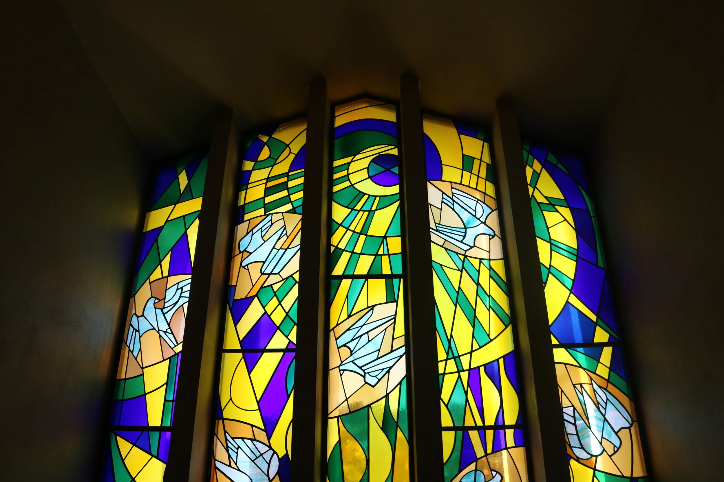 CINEMA KAPELLA: "NO HOME MOVIE"