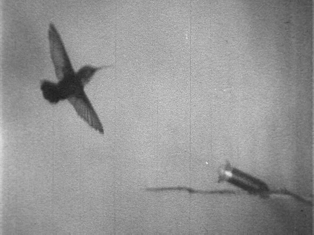 Helene Sommer filmprogram 1