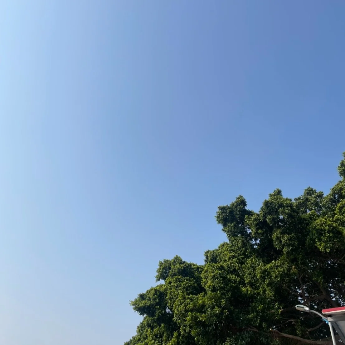 Blue that stretches,green that stays.

#pleasureandglow #inbetweenmoments #softscenes #slowsight