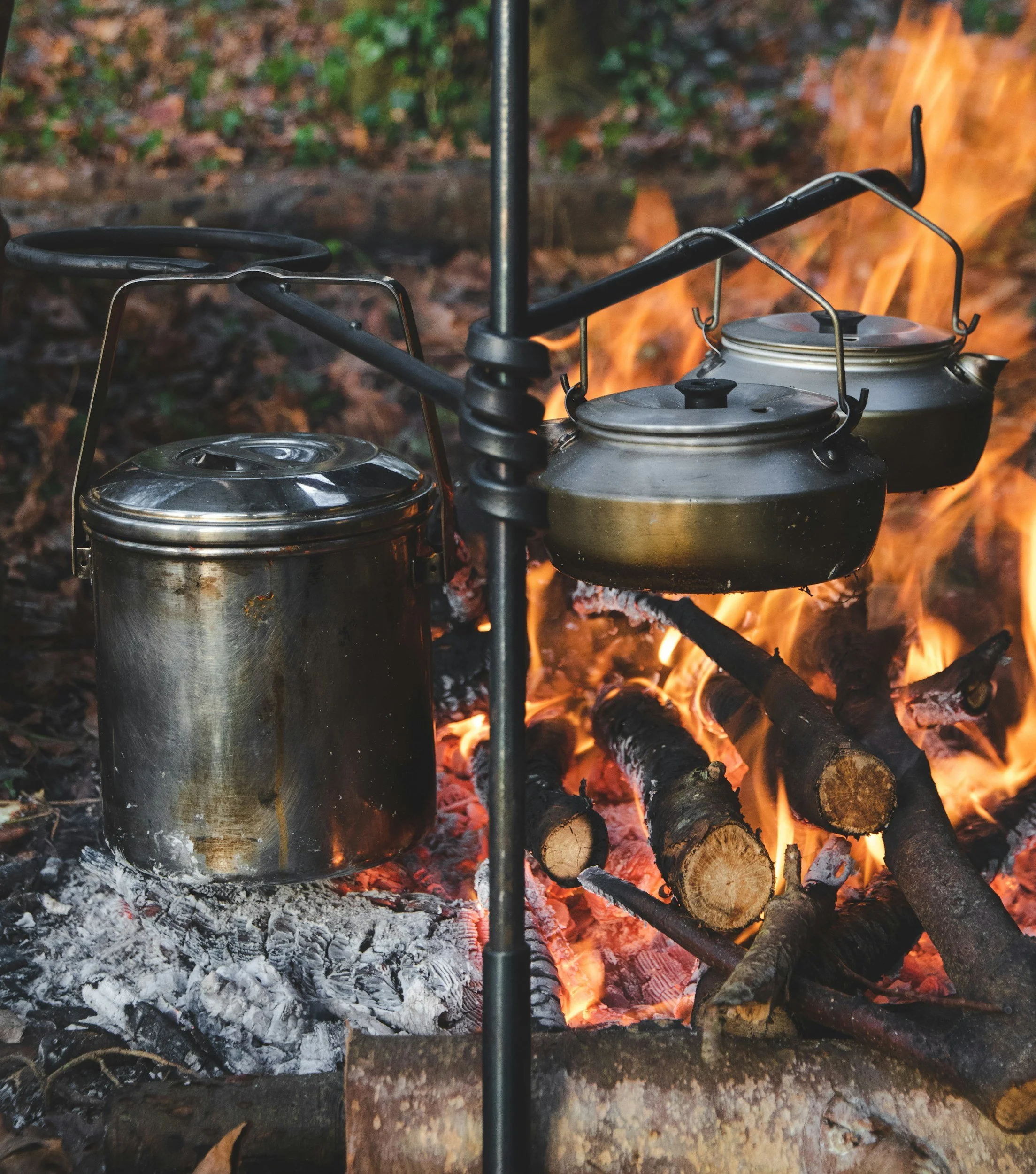 Two metal tea kettles are boiling over an open fire, with logs burning beneath them in a forest setting.