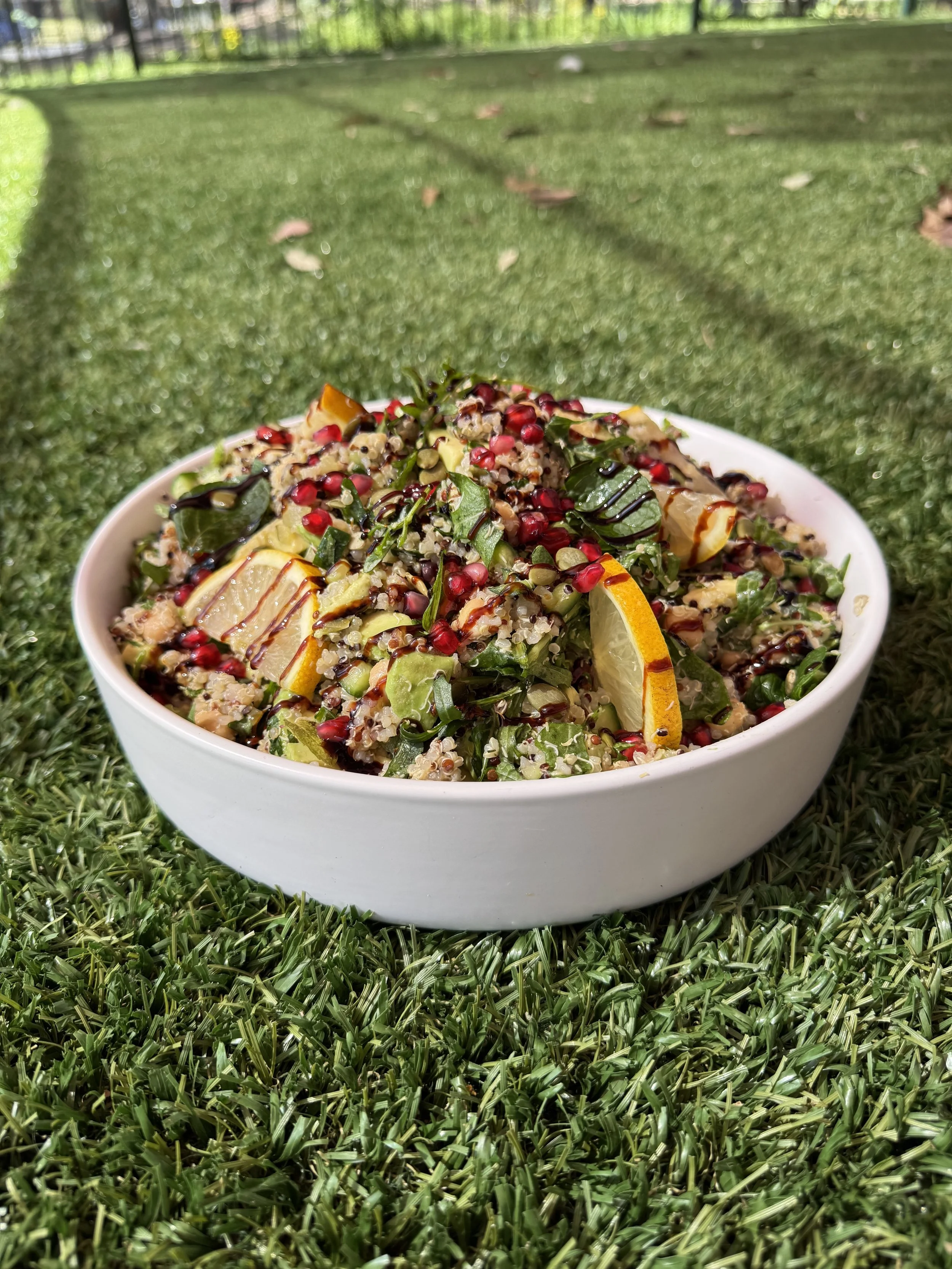 A bowl of salad with various vegetables and seeds on a grassy outdoor surface, with a background of a fence and trees.