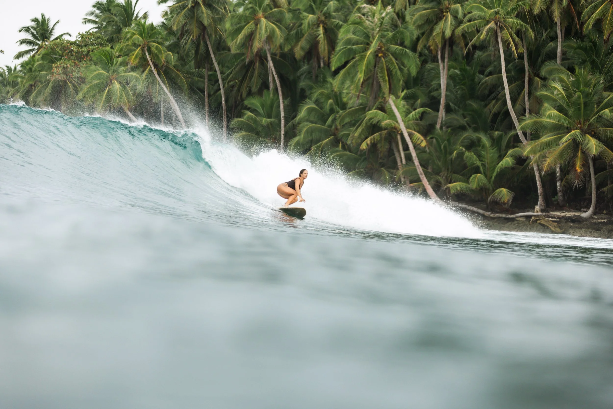 A woman surfing a wave near a tropical beach with dense green palm trees in the background.