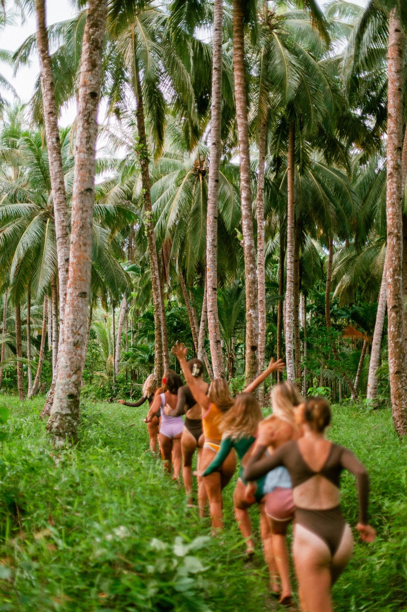 Group of people in swimwear walking through a lush tropical forest of tall palm trees.