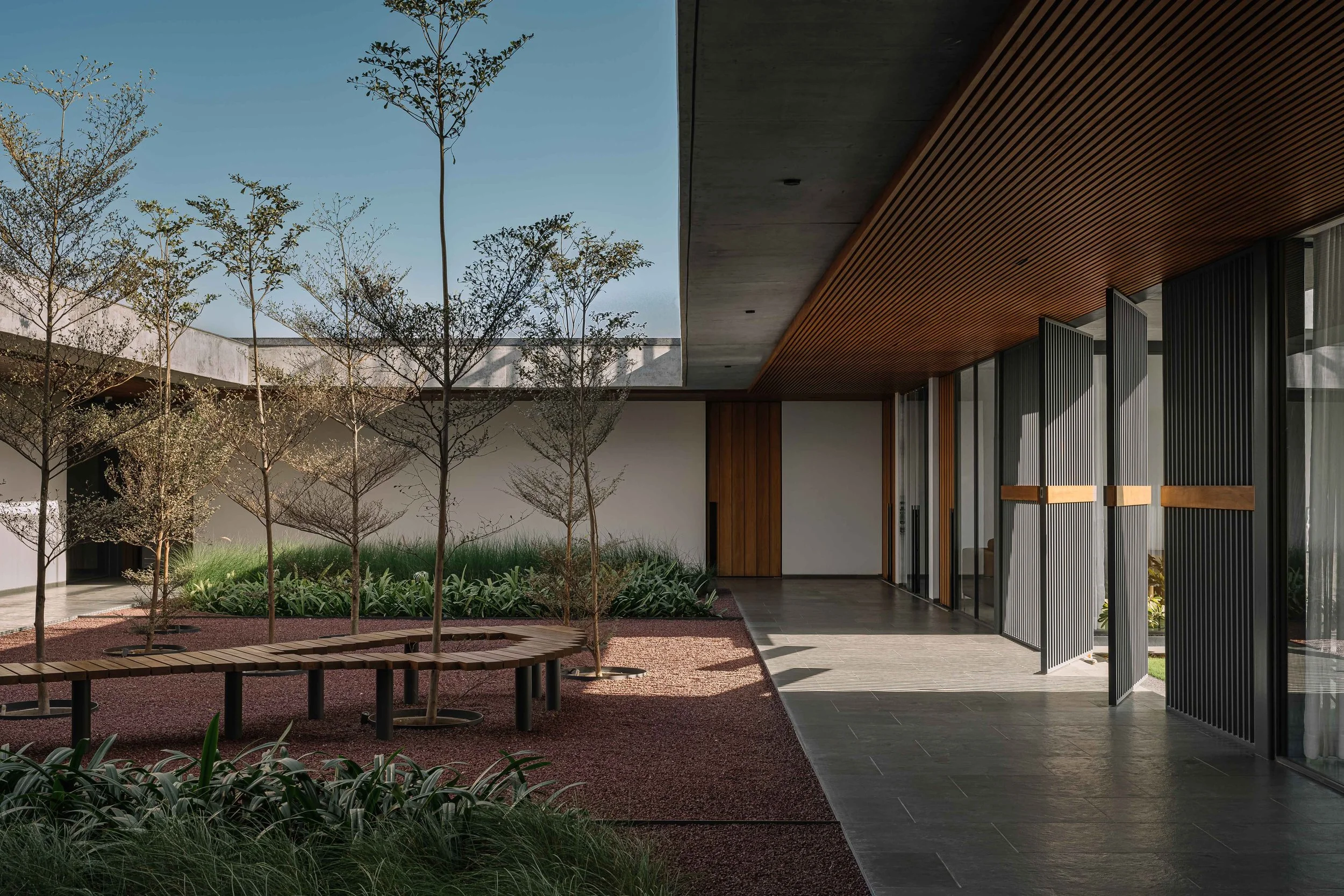 Modern building with an outdoor courtyard featuring a curved wooden bench, young trees, and lush greenery under a clear blue sky