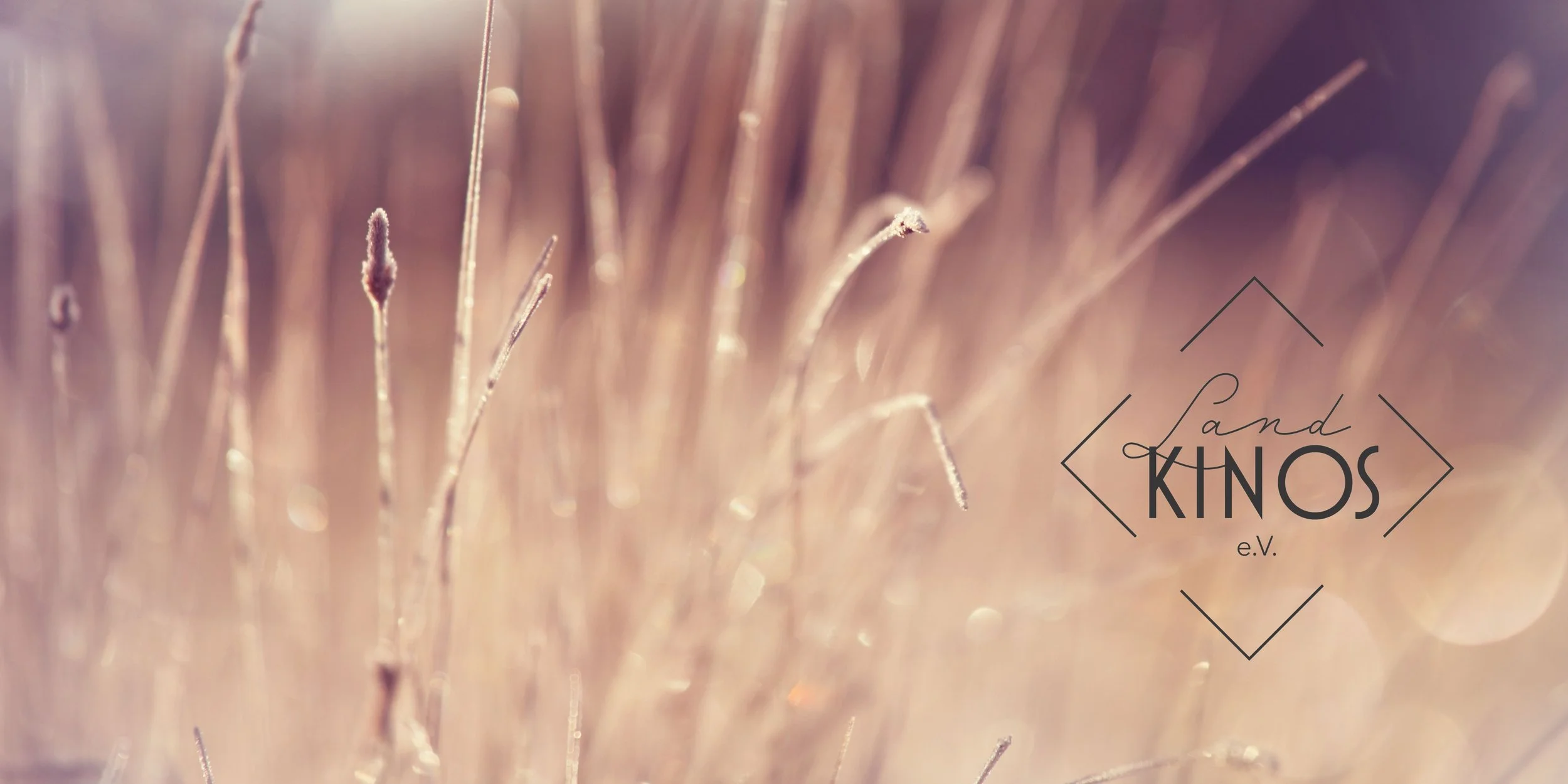 Mitgliederversammlung