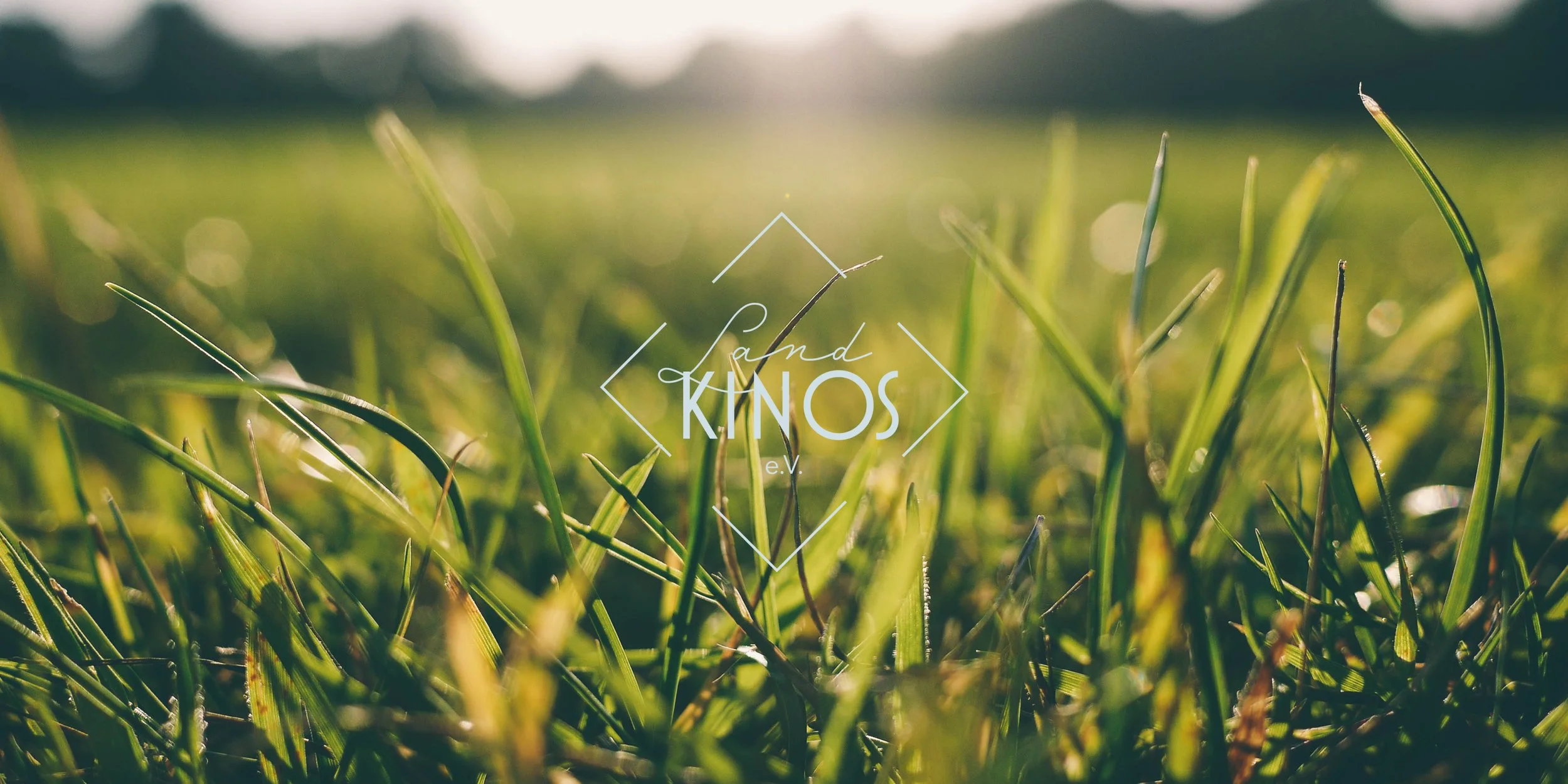 Einladung zum virtuellen Stammtisch für Landkinos