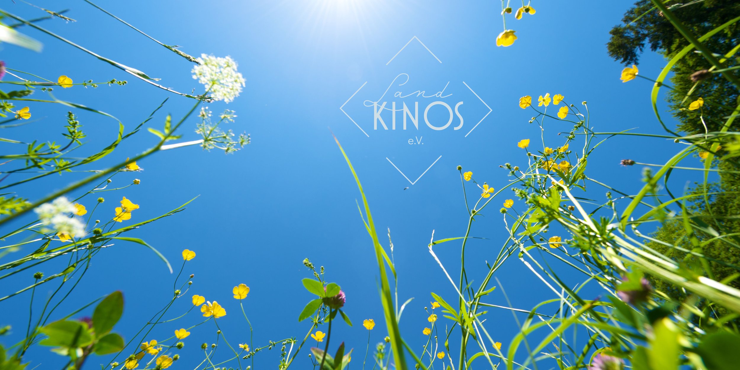 Gründung Landkinos e.V. /// Einladung zum Infotreffen