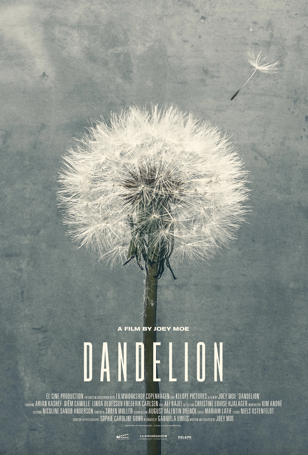 Dandelion