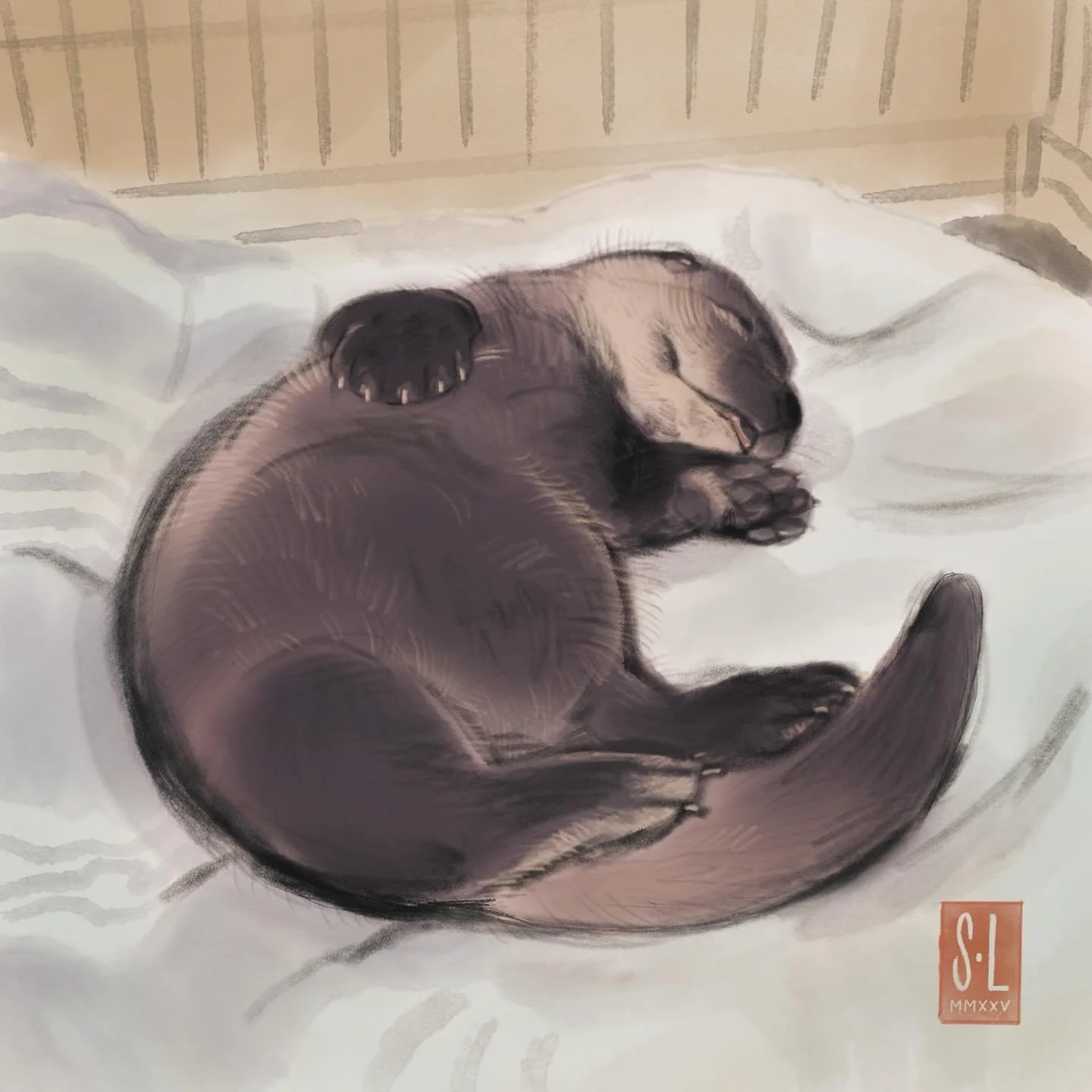 My sister adopted an abandoned baby otter for a week 😭 I got to spend a day with her for a day while we drove her to a rehab center, where it will be released back into the wild 💝 This is her after a big meal of milk and mushed salmon 🥹 #animalreh