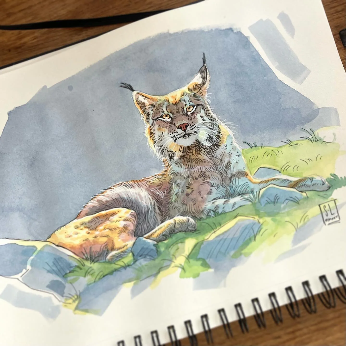 I&rsquo;m still alive 🙃 I was feeling like I couldn&rsquo;t get anything done today (bad) - so what to do? Paint a cat of course. So.. I&rsquo;m working on a rebrand atm. Or, more like; an additional brand? So Panimated will be for my comic, digital