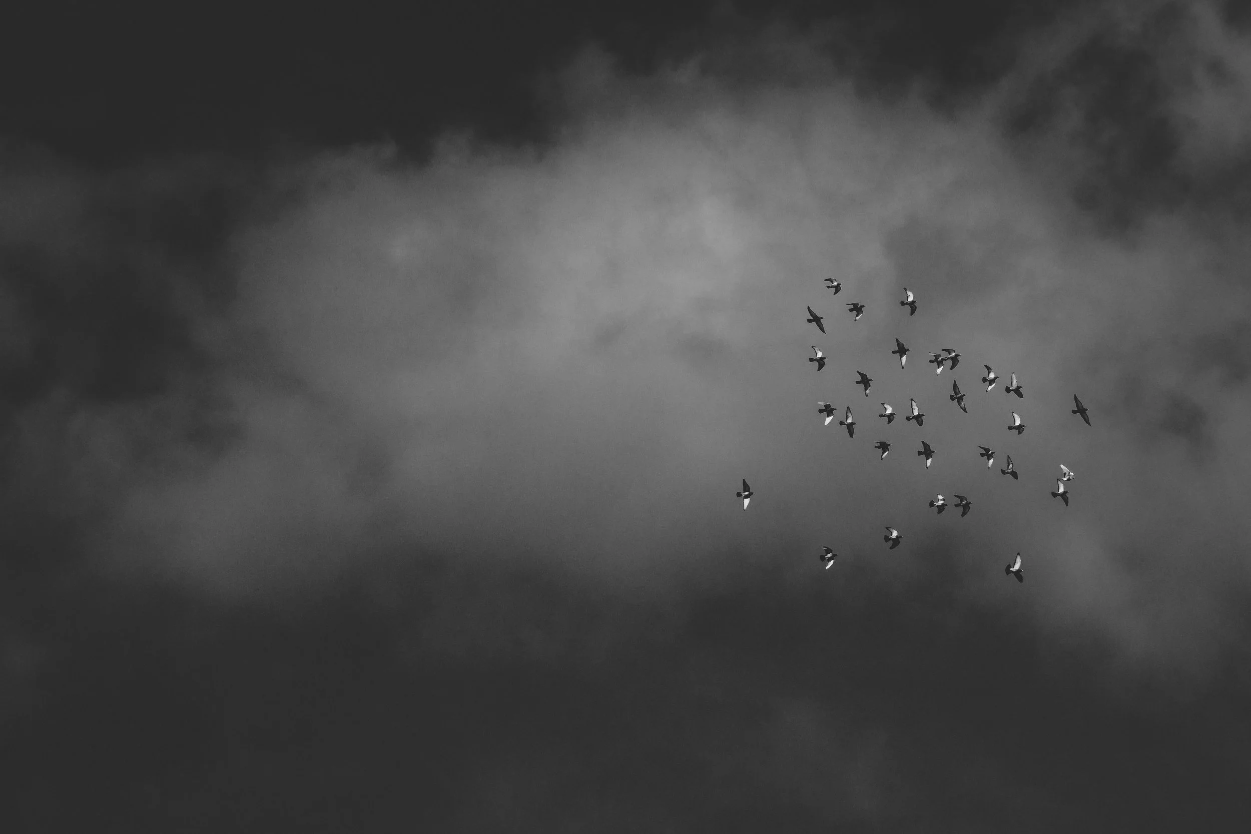 DSCF8843 (2)-Enhanced-SR.JPG