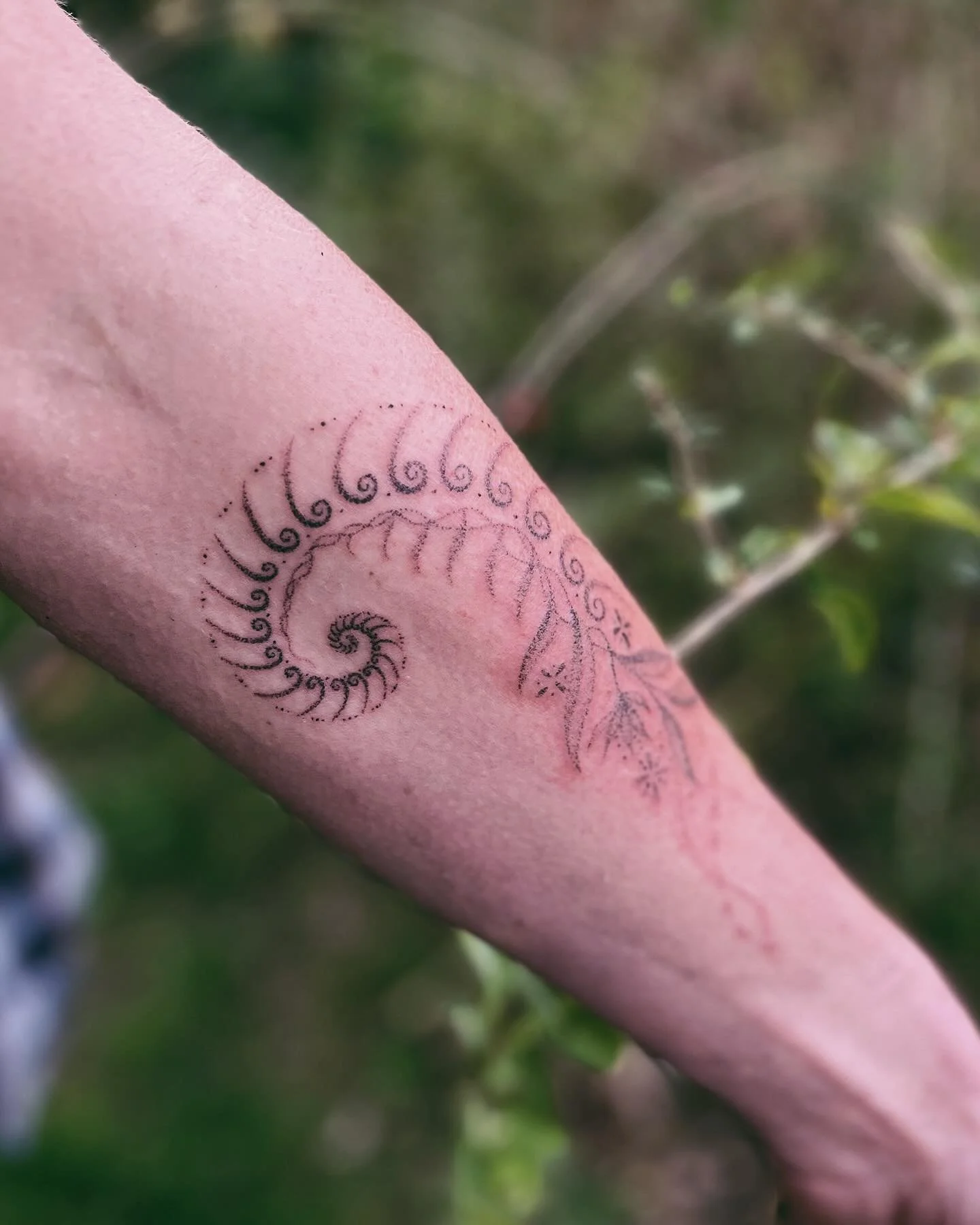 It&rsquo;s been a little while since posting on here, I&rsquo;ve taken a huge break from the digital space over the last month, from spending Christmas time with my family in S&atilde;o Paulo to going deep into the Brazilian Amazon rainforest immersi