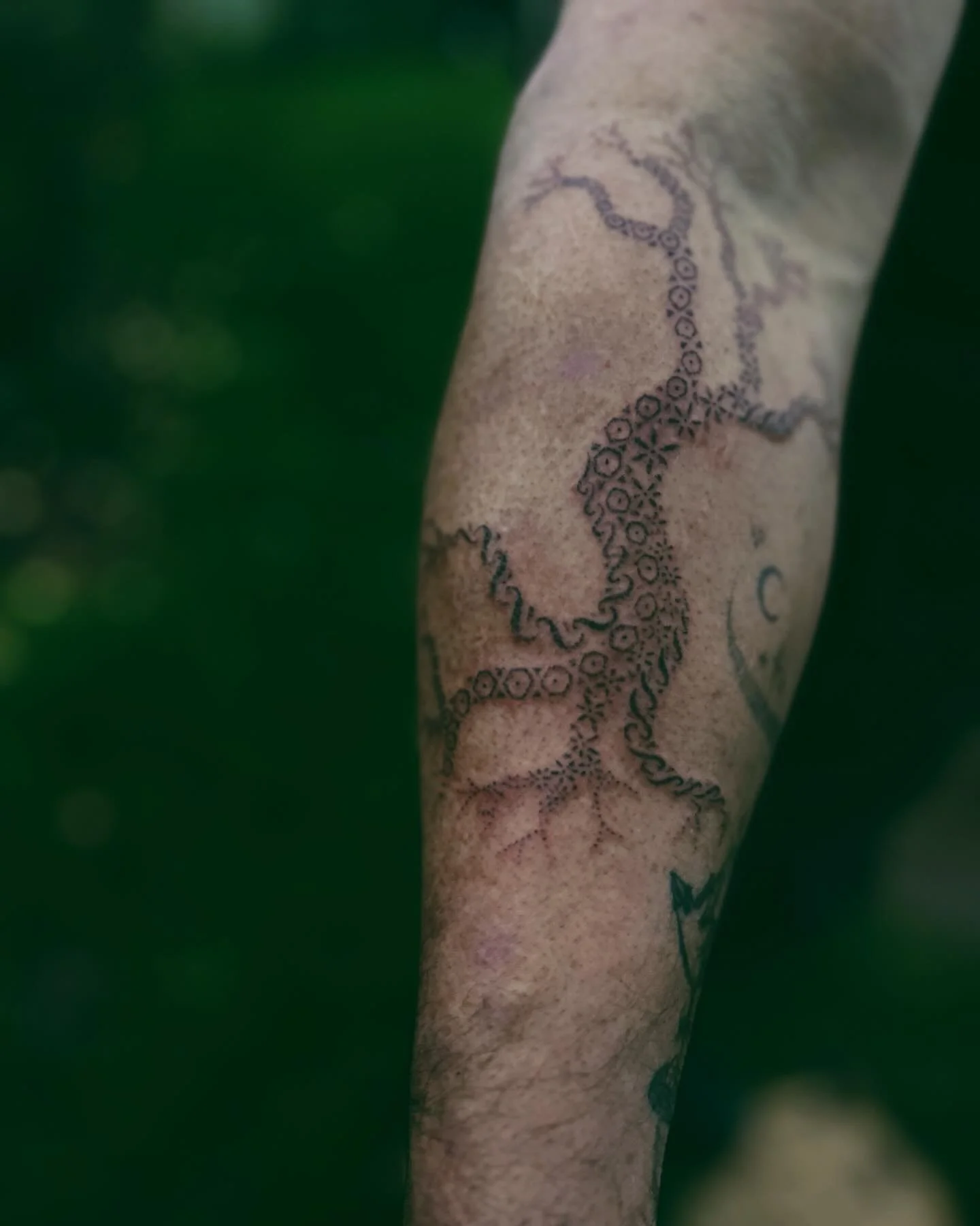 Fractals within fractals

One from last year, honouring the fabric of existence the fractals that create all of us and the nature around us. 

Have you ever seen the fractals within trees? Each branch is a fractal of the whole!

Weaving intentions an