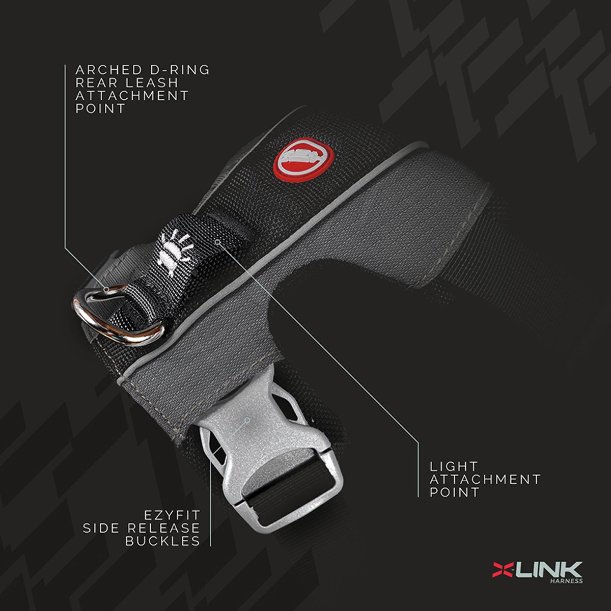 5. X-Link.jpeg