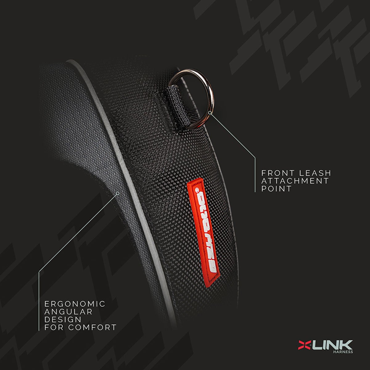 3. X-Link.jpeg