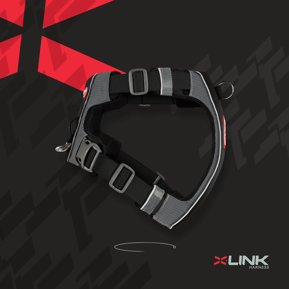 X-Link-Animation.gif