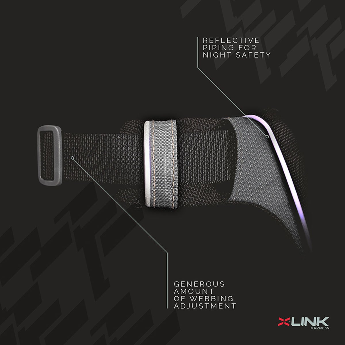 4. X-Link.jpeg