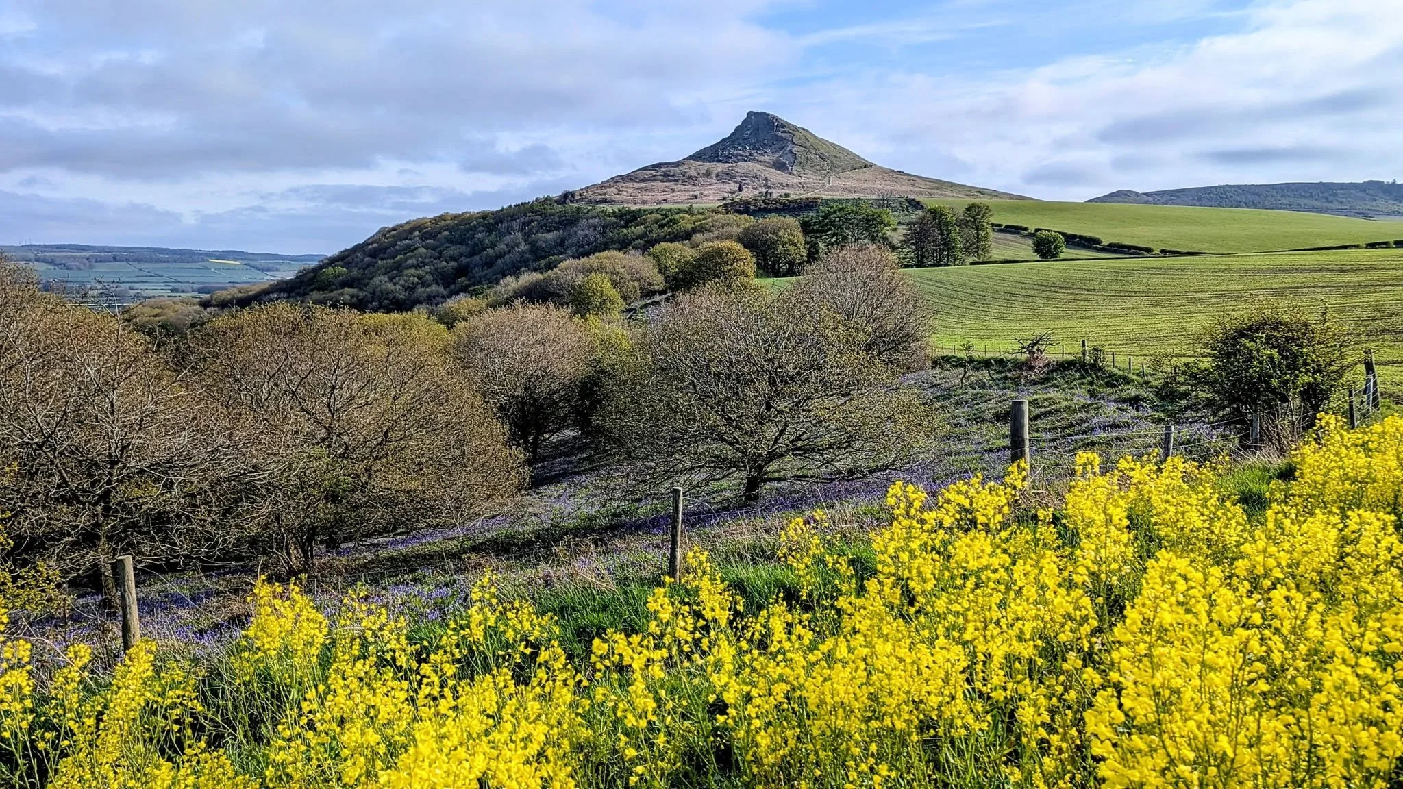 Roseberry Topping